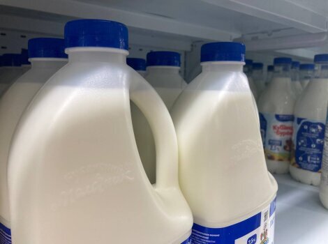 Производство молока на Кубани превысило 1 млн тонн с начала года